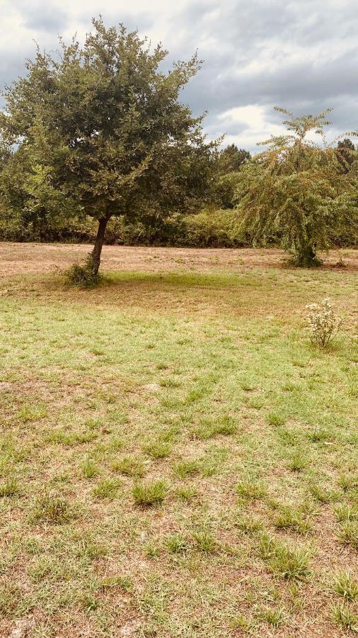Petite Maison Dans La Prairie Cabanac-et-Villagrains エクステリア 写真